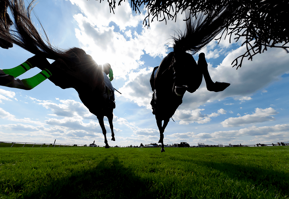 H Brth Photo Processing Spotlights Sport Horse Racing