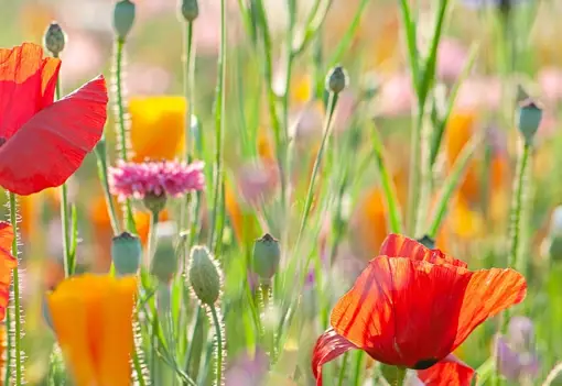 WELLBEING HERO1 WELLBEING HERO1