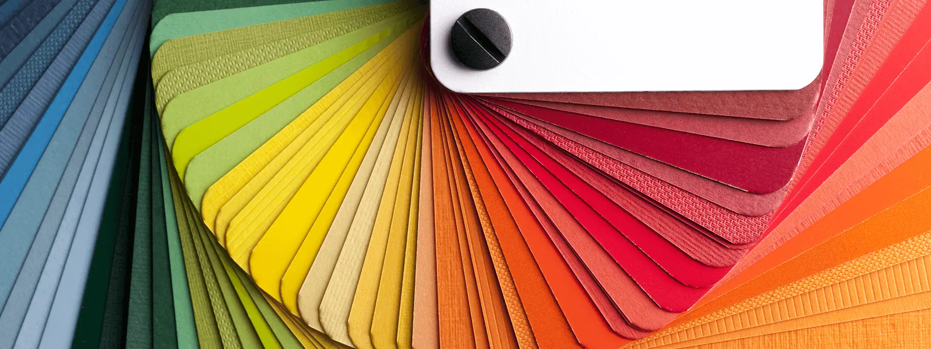 1 Who_Diversity 1 Who_Diversity