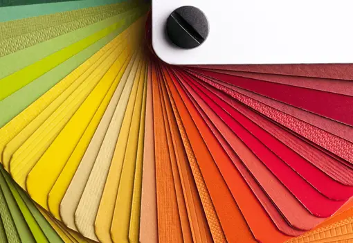 1 Who_Diversity 1 Who_Diversity