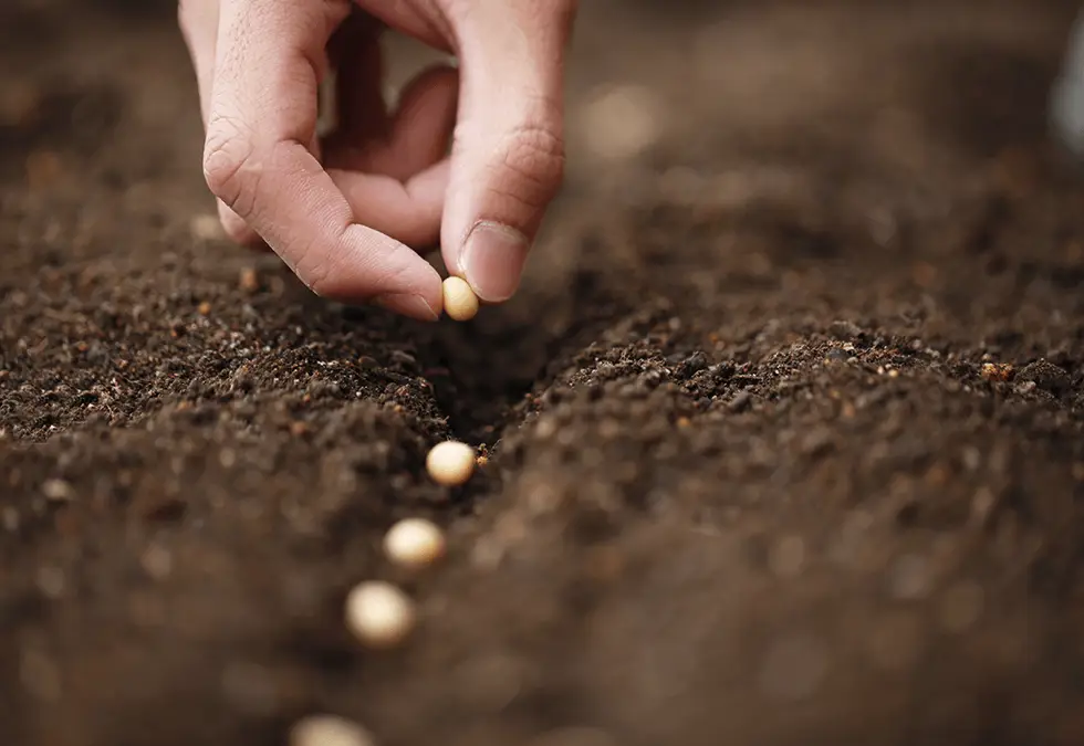 P Business Development Marketing Communications Design Work In Progress Digital Website Pics Final Images 7 Spotlights Growth P Business Development Marketing Communications Design Work In Progress Digital Website Pics Final Images 7 Spotlights Growth