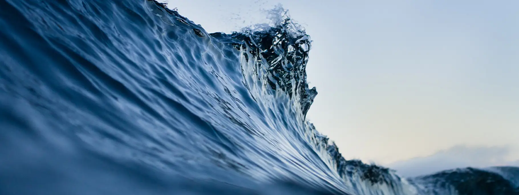 5. ESG Main VUTURE 5. ESG Main VUTURE