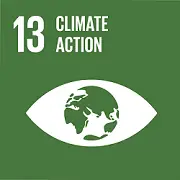 13 Climate Action Tile - Environment