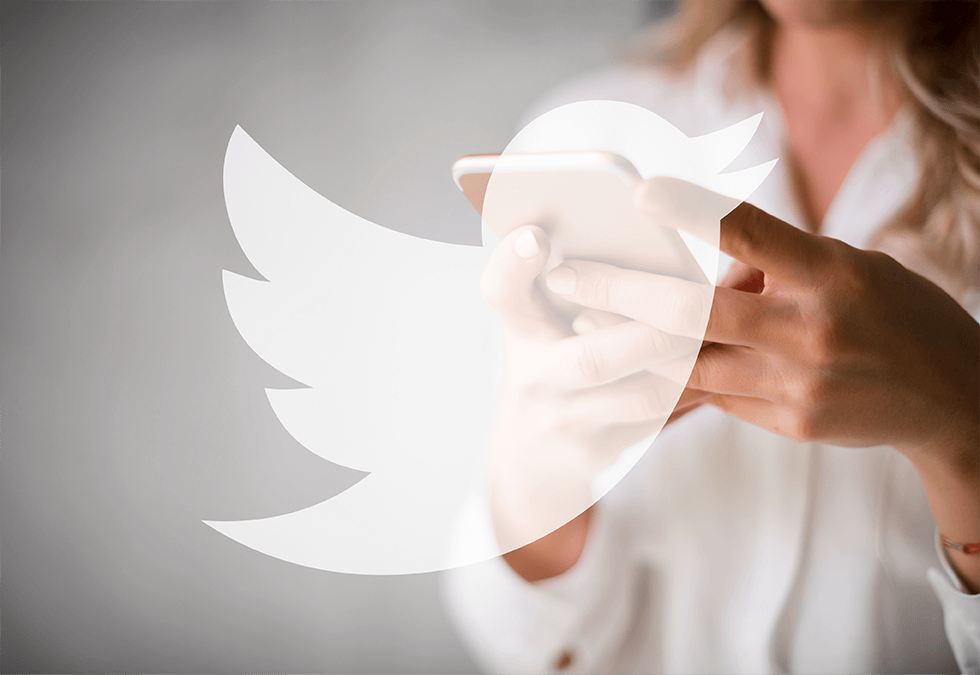 P Business Development Marketing Communications Design Work In Progress Digital Website Pics Final Images 7 Spotlights Social Media Sm_Twitter