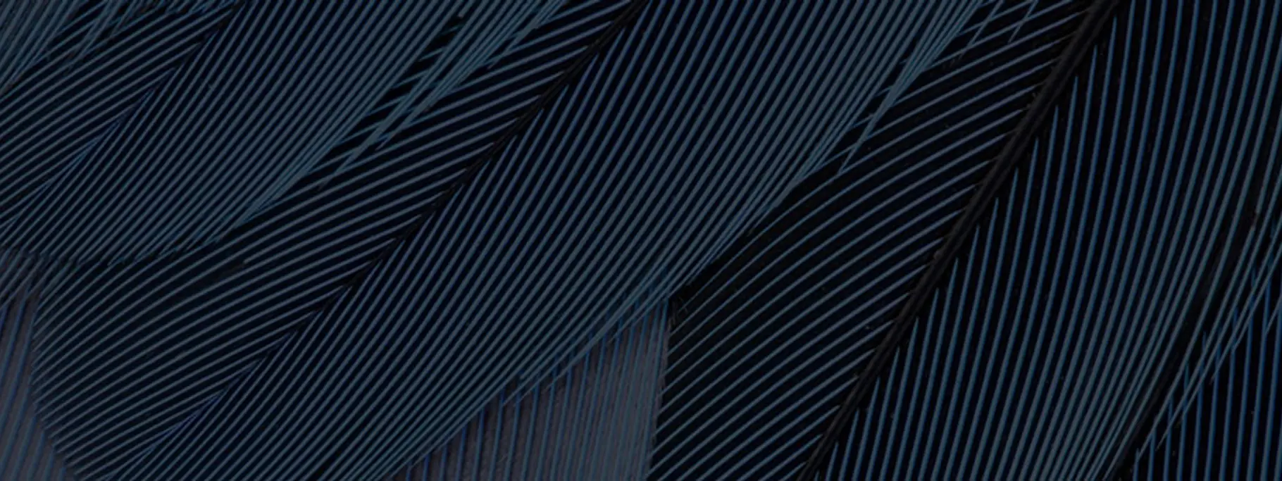 Clams Handling Guide Website Banner 2021 Clams Handling Guide Website Banner 2021