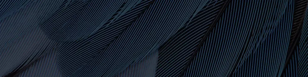 Clams Handling Guide Website Banner 2021 Clams Handling Guide Website Banner 2021