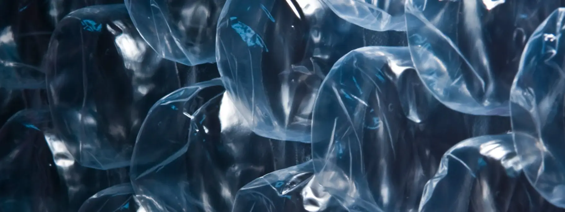 Bubble Wrap Banner Bubble Wrap Banner