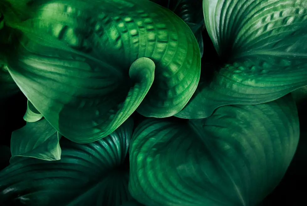 RB Key Image Optimised RB Key Image Optimised