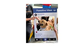 Hong Kong Trainee Imagery_2 Hong Kong Trainee Imagery_2