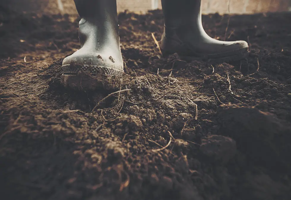 Wellington Boots Farmer Wellington Boots Farmer