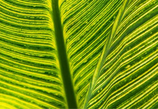 Environement Banner Environement Banner