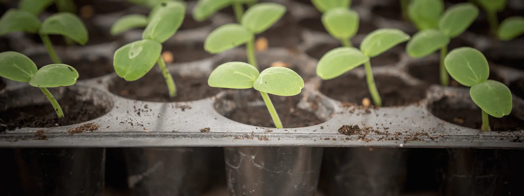 P Business Development Marketing Communications Design 1 Digital Website Pics Final Images 3 Other Thought Leadership 1 Thought_Focus Areas 2 Thought_Focus_Insurtech P Business Development Marketing Communications Design 1 Digital Website Pics Final Images 3 Other Thought Leadership 1 Thought_Focus Areas 2 Thought_Focus_Insurtech