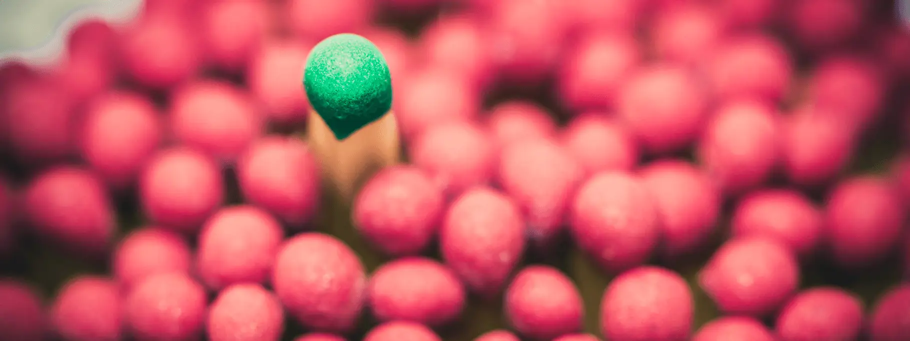 Roducts_Productsinnovation Roducts_Productsinnovation