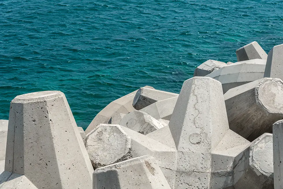 Tetrapods_Close Up Tetrapods_Close Up