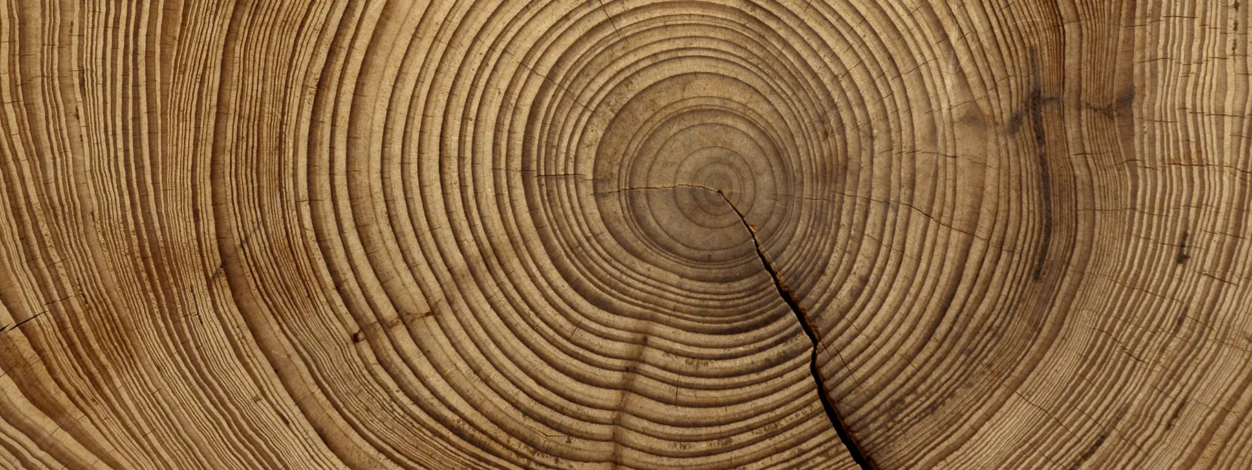 Who_History Who_History