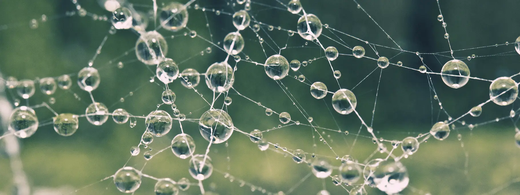 P Business Development Marketing Communications Design Work In Progress Website Pics Final Images 3 Other Who We Are 1 Who_Aboutus P Business Development Marketing Communications Design Work In Progress Website Pics Final Images 3 Other Who We Are 1 Who_Aboutus