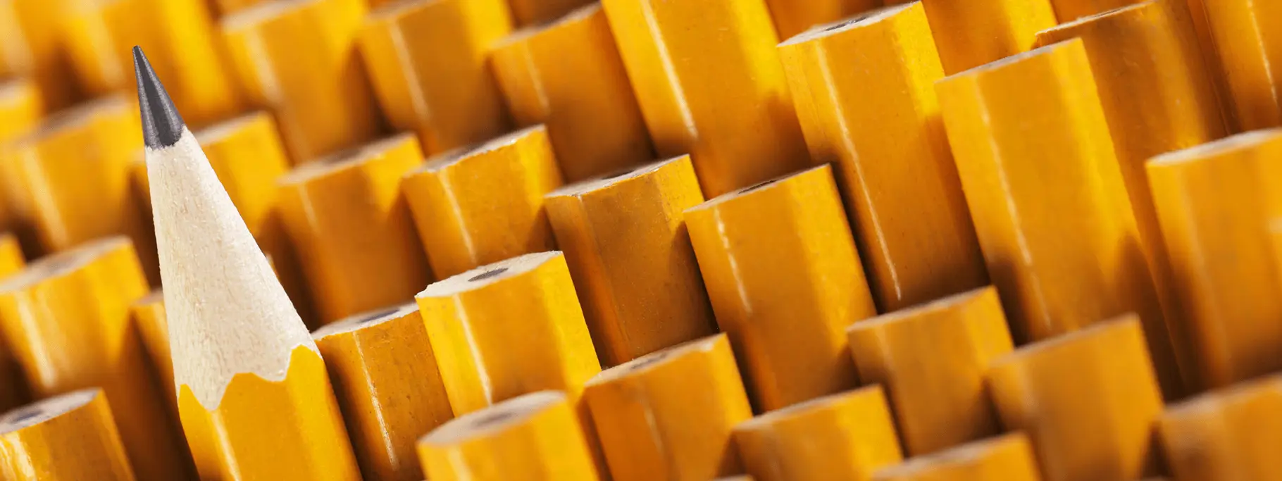 P Business Development Marketing Communications Design Work In Progress Website Pics Final Images 3 Other Who We Are 1 Who_Reputation P Business Development Marketing Communications Design Work In Progress Website Pics Final Images 3 Other Who We Are 1 Who_Reputation