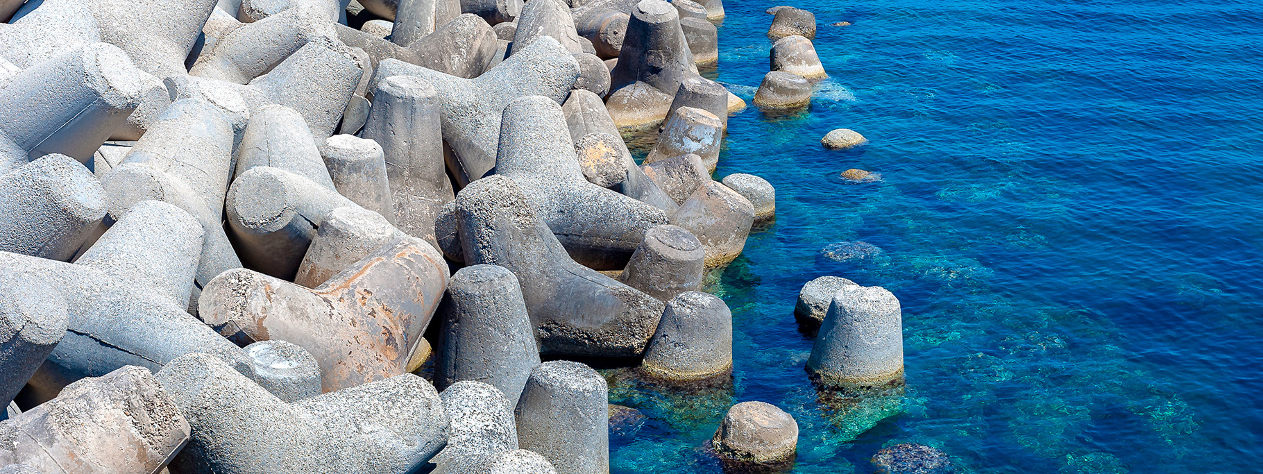 Tetrapods On Shoreline_Banner