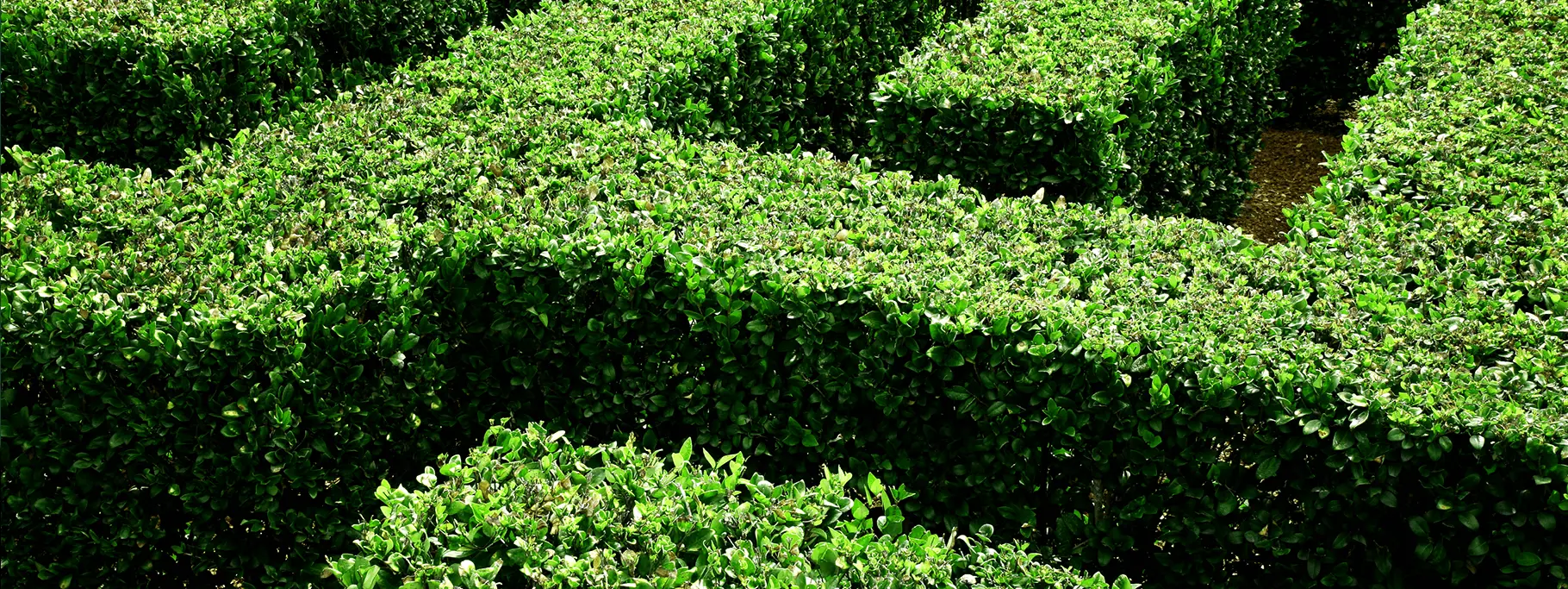 Regcomp_Hero Regcomp_Hero