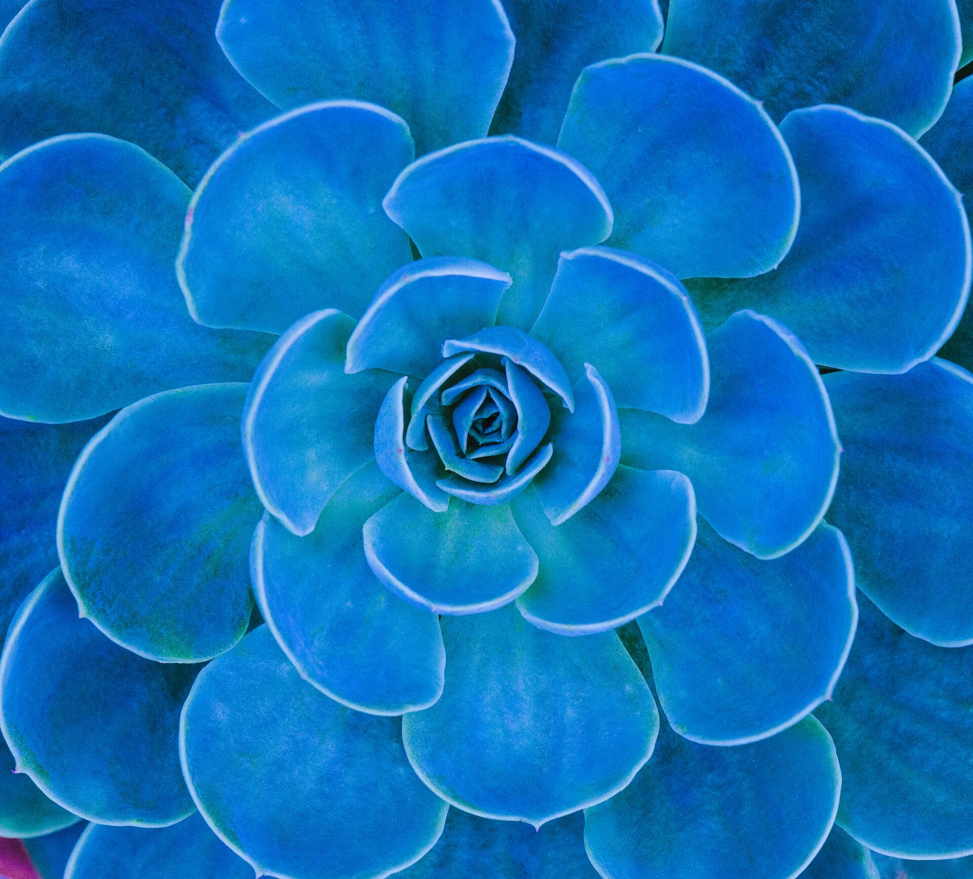 Large Gettyimages 1341766547