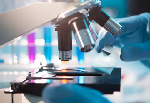 Microscope Microscope