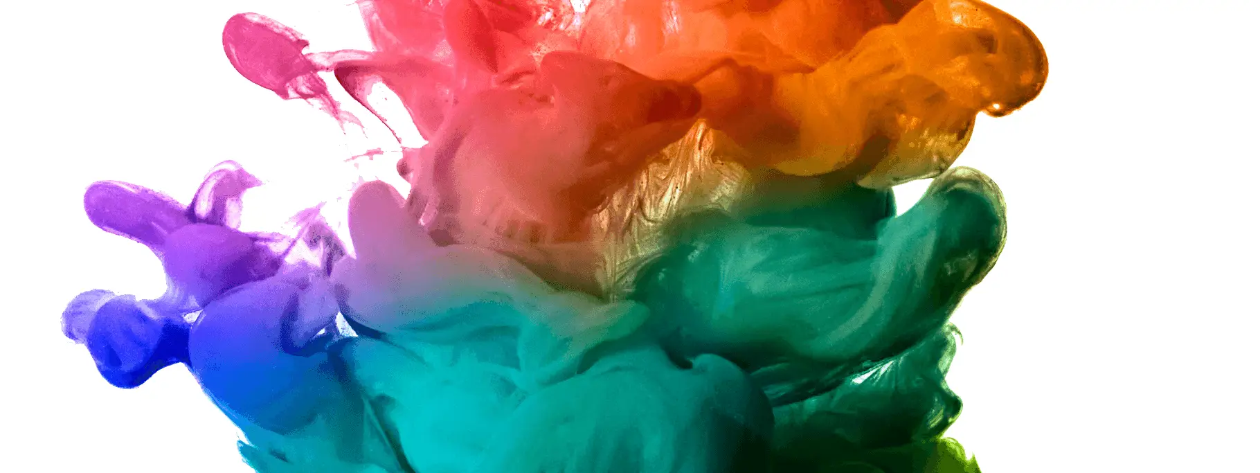 Dive In Sploosh Dive In Sploosh