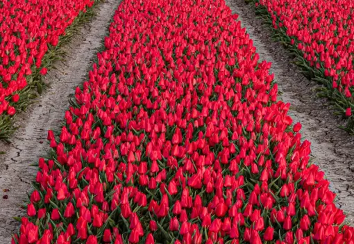 Early Careers Uk Early Careers Uk