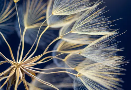 Social Impact Banner Social Impact Banner